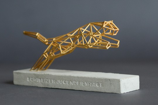 Bild von Die Schweizer Jugendfilmtage mit der SRG