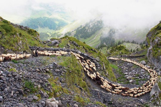 Bild von «DOK»: Alpzyt mit der Alp Erigsmatt im Muotathal