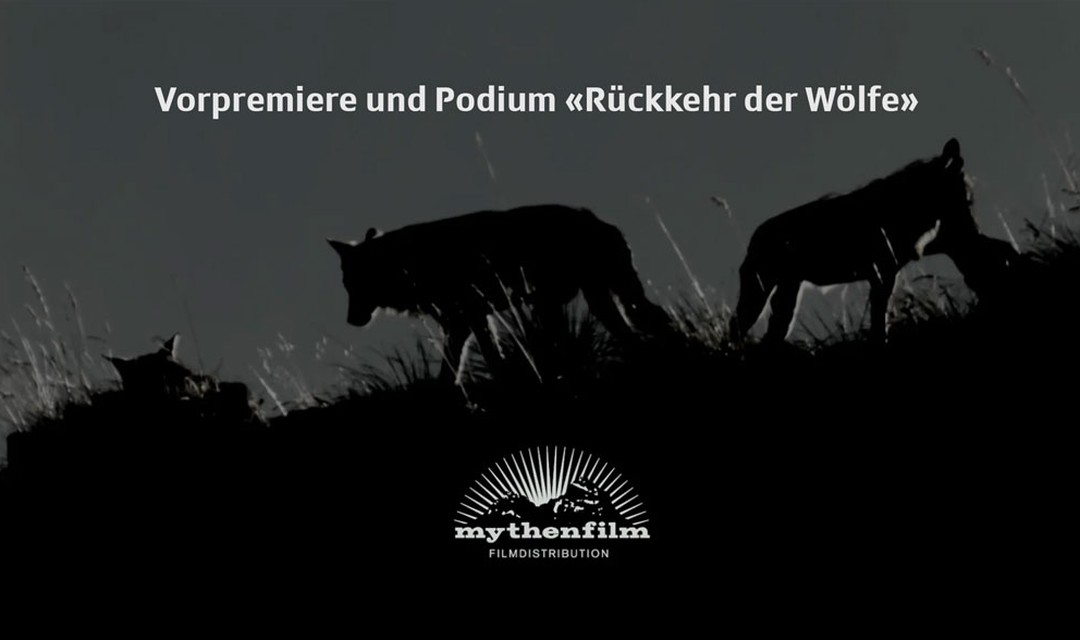 Bild von Vorpremiere und Podium «Rückkehr der Wölfe» mit der SRG Schwyz