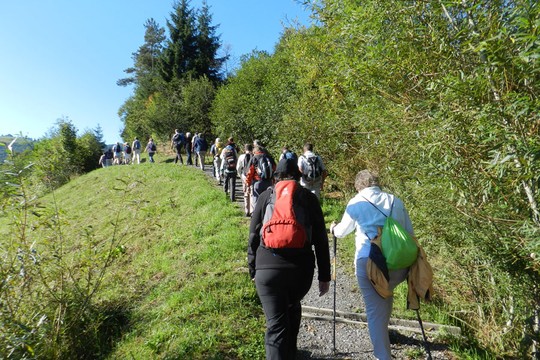 Bild von Spurensuche im Hochmoor von Rothenthurm