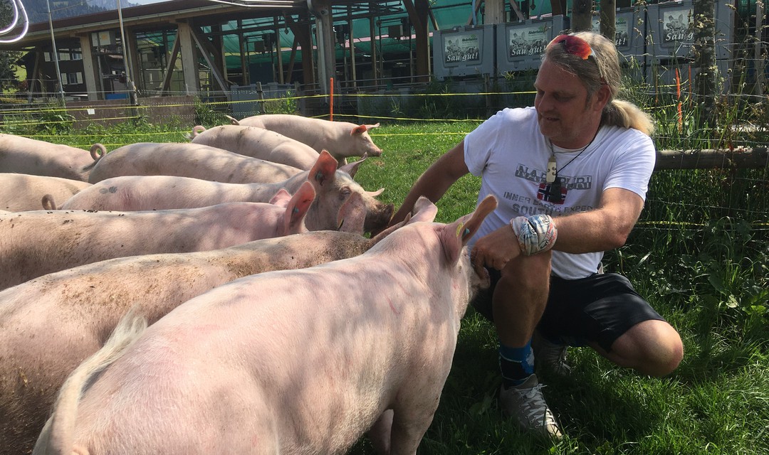 Oliver Hess und Wiesenschwein